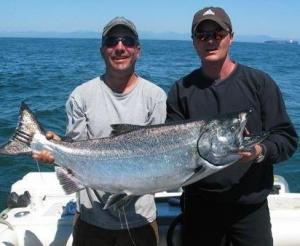 45lb Chinook
